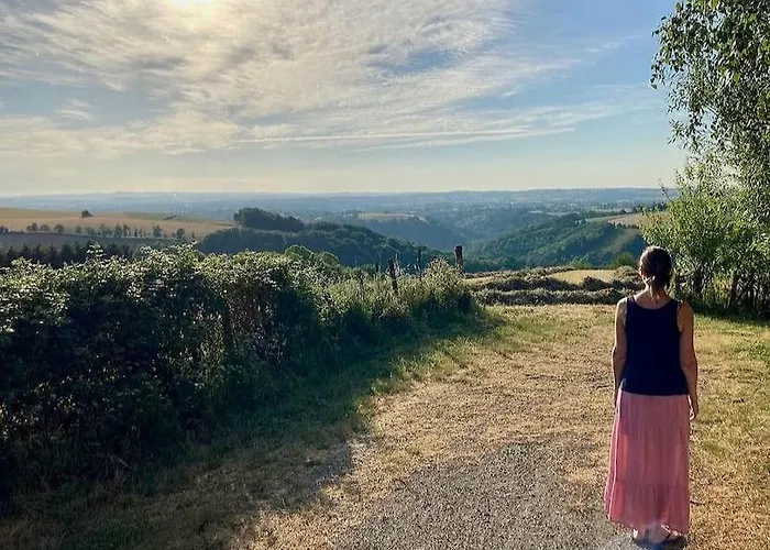 'a La Campagne' Met Gedeeld Zwembad. Crespin (Tarn)